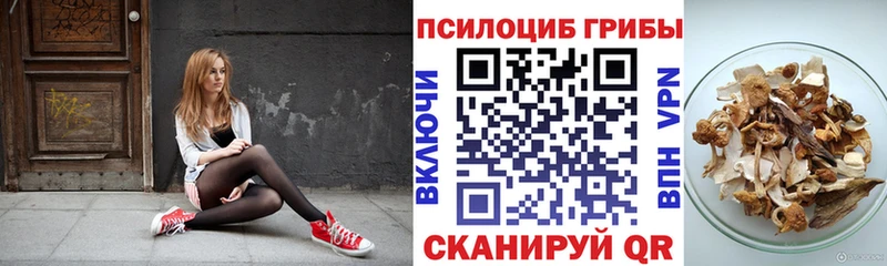 Галлюциногенные грибы прущие грибы  Чернушка 