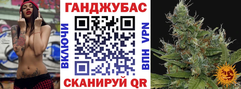 Бошки Шишки ГИДРОПОН  Чернушка 